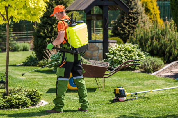 Best Bee and Wasp Removal  in Pennington, NJ